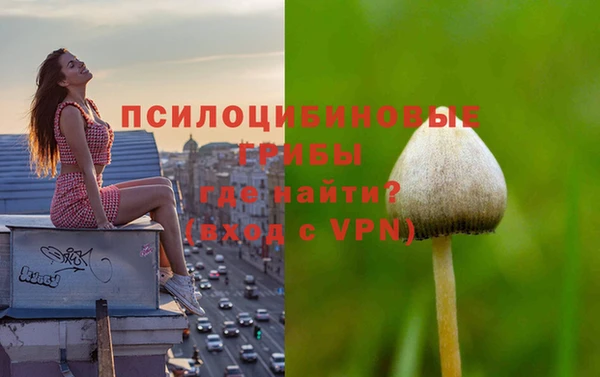 мяу мяу кристалл Арсеньев
