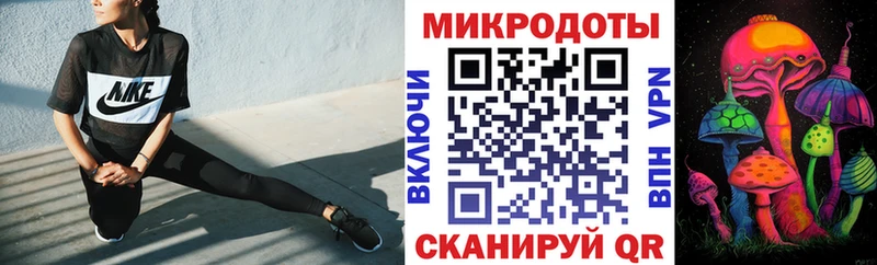 Псилоцибиновые грибы Cubensis  закладки  Щигры 